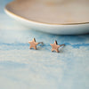 Shining Star Rose Gold Plated Sterling Silver Stud Earrings