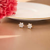 Shinning Flower Nakshatra Gold Plated Sterling Silver Stud Earrings