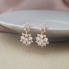 Twinkling Danglers Rose Gold Plated Sterling Silver Earrings
