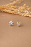 Solitaire Halo Bling Gold Plated Sterling Silver Stud Earrings