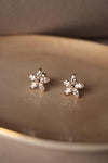 Ready For Spring Floral Rose Gold Plated Earrings - Mannash