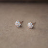 Tiny Sparkle Cluster Rose Gold Plated Sterling Silver Earrings