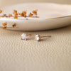 Classic Solitaire Rose Gold Plated Sterling Silver Stud Earrings