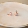 Stellar Solitaire Rose Gold Plated Sterling Silver Stud Earrings