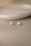 Shinning Flower Nakshatra Sterling Silver Stud Earrings