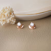 Leafy Solitaire Rose Gold Plated Sterling Silver Stud Earrings