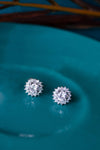 Born To Shine Solitaire Stud Earrings - Mannash