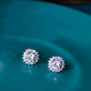 Born To Shine Solitaire Sterling Silver Stud Earrings