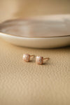 Sparkling Dust Sterling Silver Stud Earrings