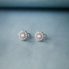 Dazzling Flower Sterling Silver Earrings