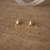 Star Fish Gold Plated Mini Sterling Silver Stud Earrings
