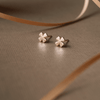 Clover Leaf Flower Rose Gold Plated Mini Sterling Silver Stud Earrings