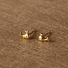 Fishy Gold Plated Mini Sterling Silver Stud Earrings
